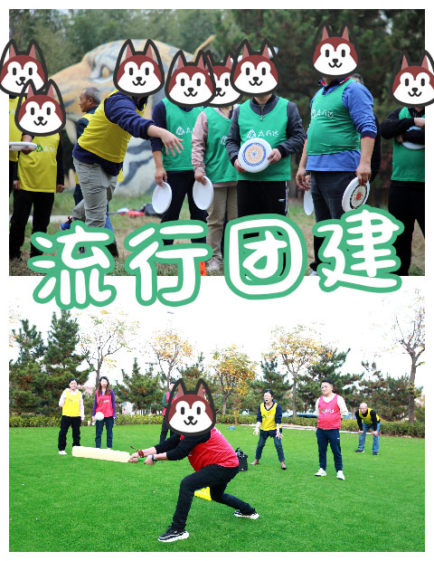青島拓展，青島拓展訓(xùn)練，青島團(tuán)建，請(qǐng)致電青島眾行遠(yuǎn)