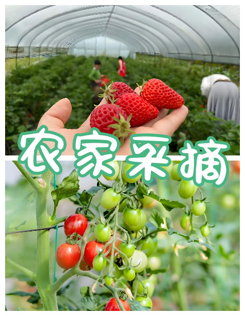 青島拓展，青島拓展訓(xùn)練，青島團(tuán)建，請(qǐng)致電青島眾行遠(yuǎn)