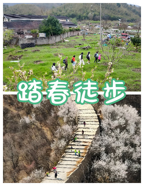 青島拓展，青島拓展訓(xùn)練，青島團(tuán)建，請(qǐng)致電青島眾行遠(yuǎn)
