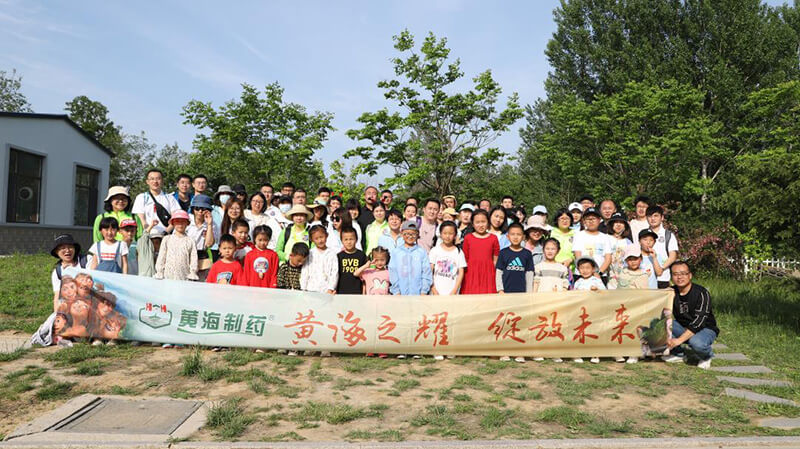 黃海之耀，華麗綻放